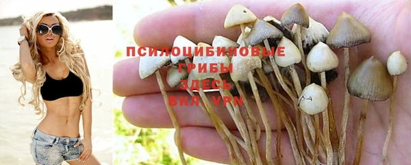 гашик Волоколамск