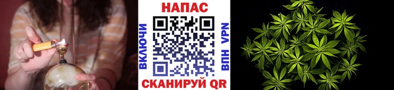 как найти закладки  Каргополь  МАРИХУАНА план 